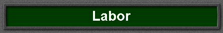 Labor